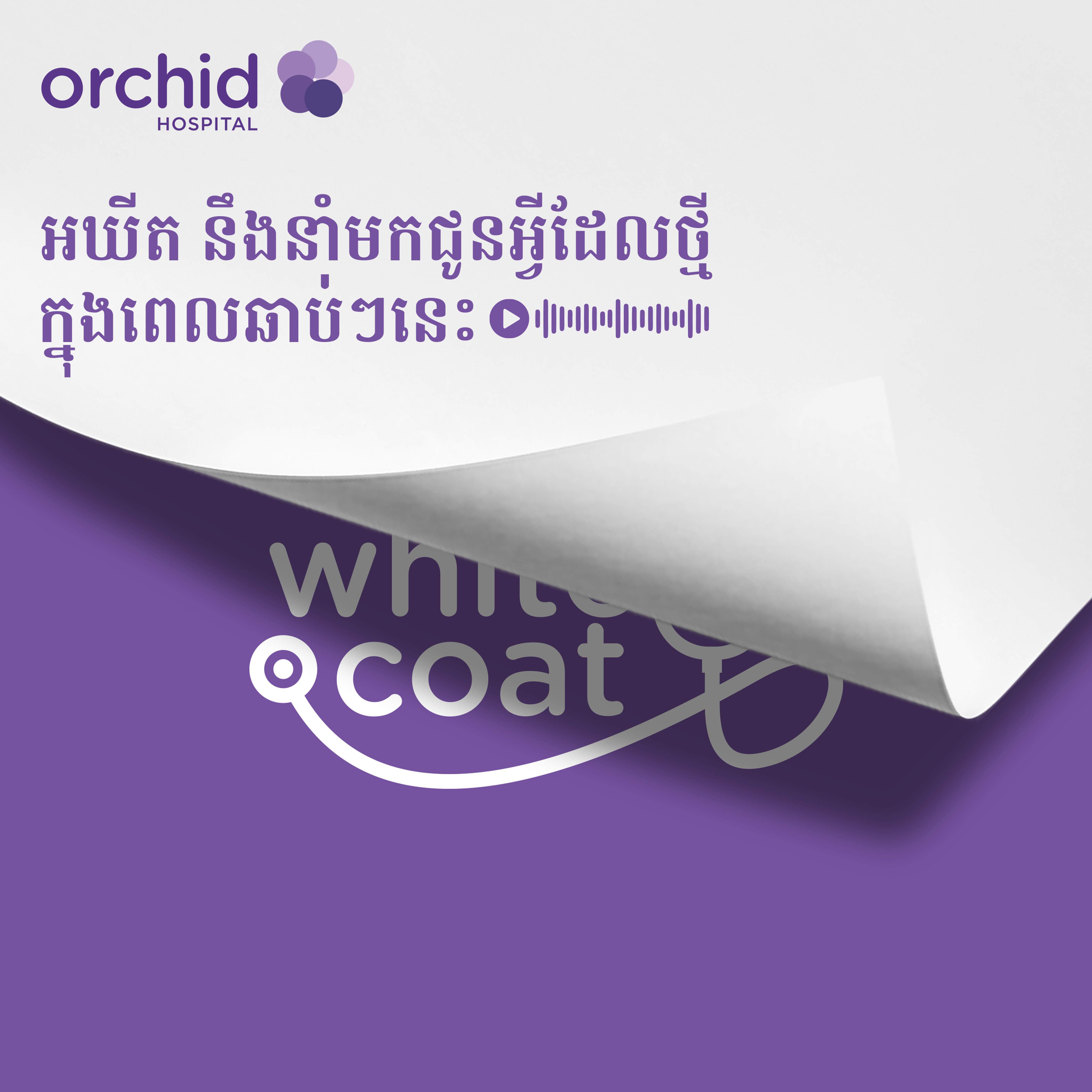 Orchid Hospital